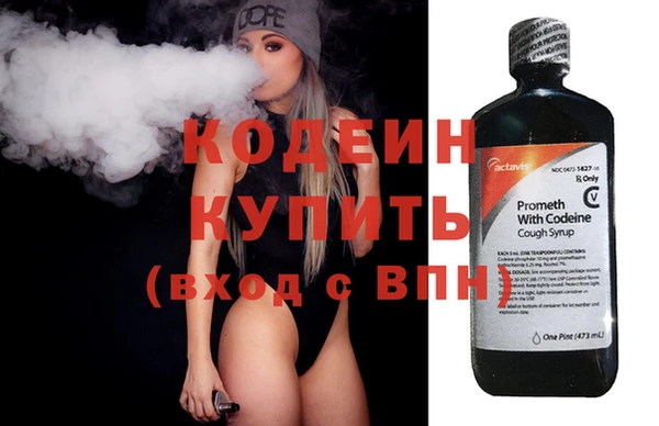 хмурый Нея