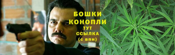 хмурый Нея