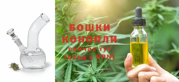 хмурый Нея