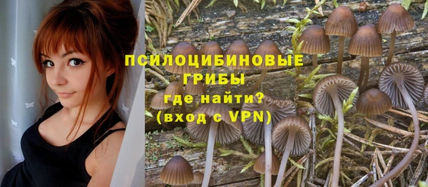 spice Нефтегорск