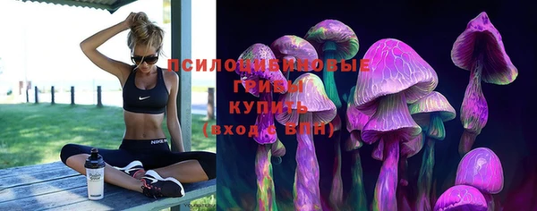 хмурый Нея