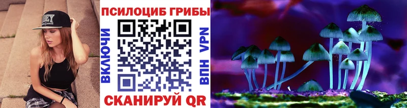 Псилоцибиновые грибы Psilocybine cubensis Ленинградская